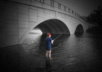 This month’s WAECO ice box winner is…